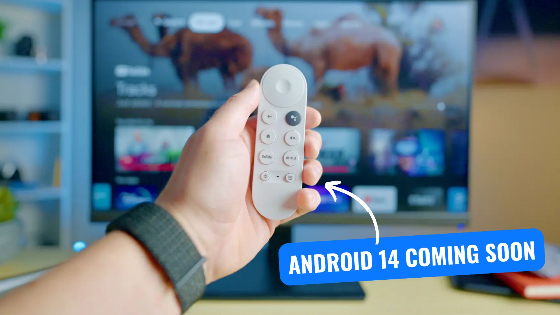 Chromecast With Google TV